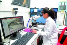 Regional Institute of Paramedical and Nursing Sciences, Mizo