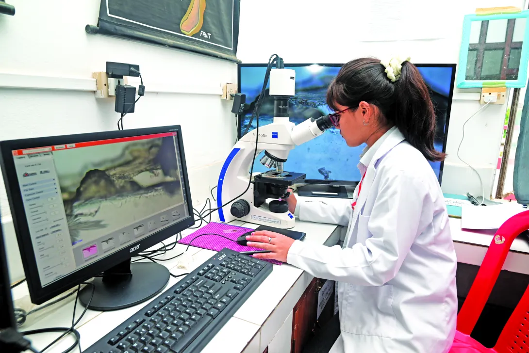 Regional Institute of Paramedical and Nursing Sciences, Mizo